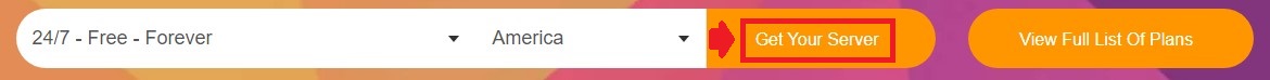 Click on Get Your Server