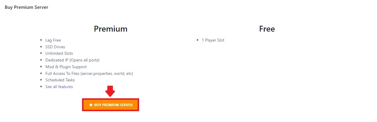 Buy Premium Server
