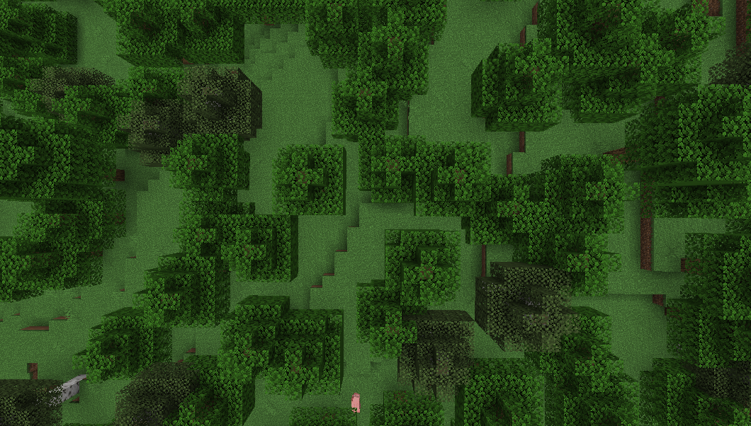 Limitations of far lands