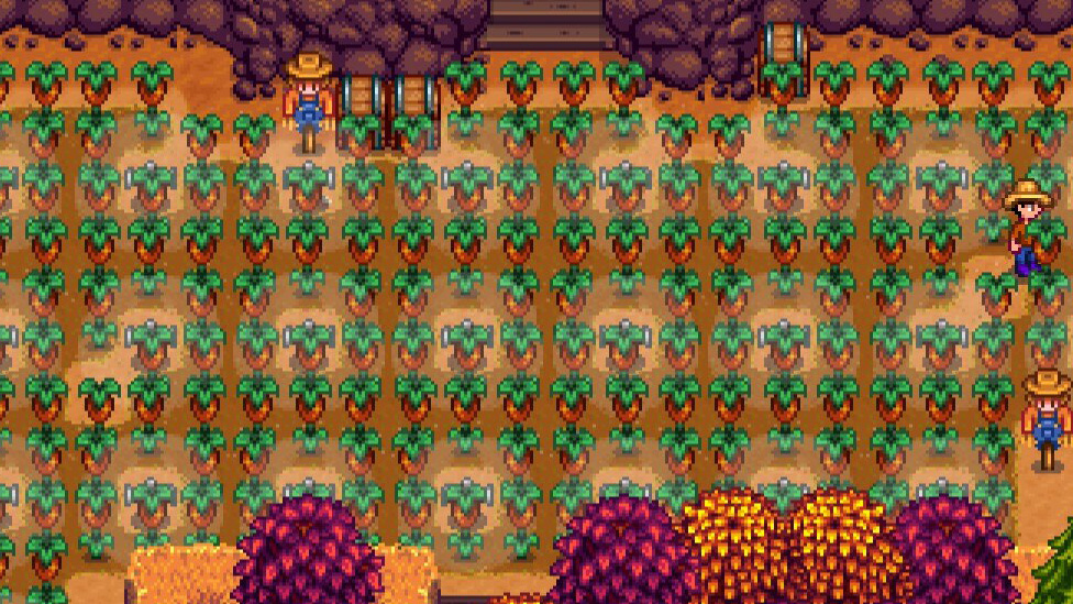 Sweet Gem Berry Farm