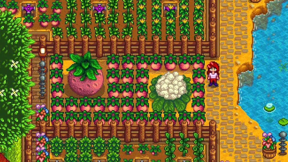 Giant Crops