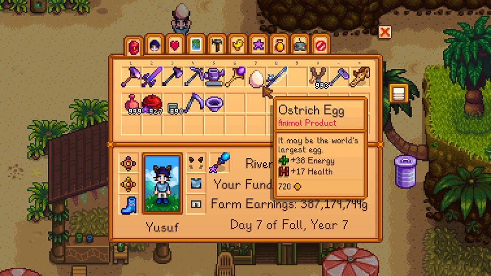 Ostrich Egg