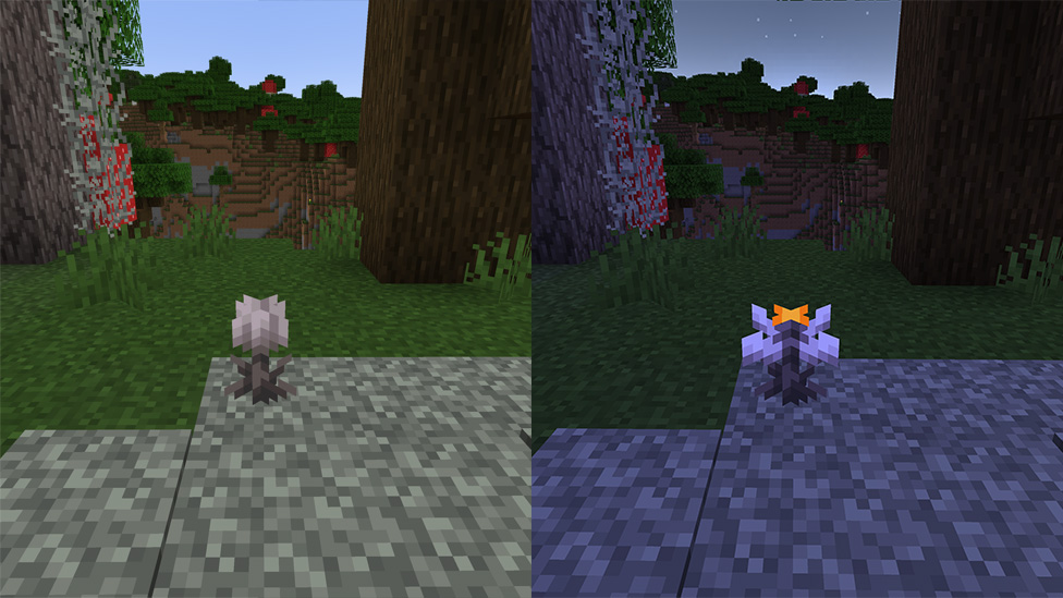 Eyeblossom, Day | Night