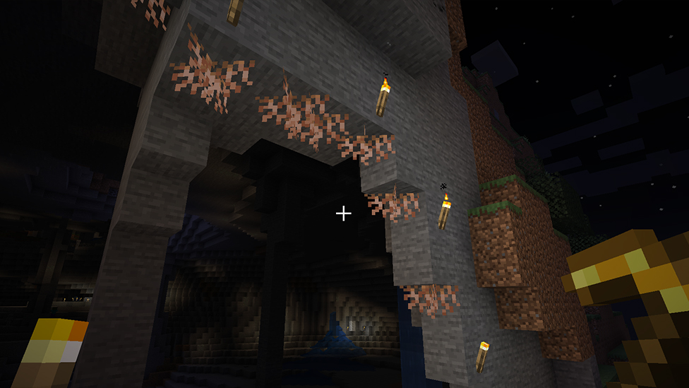  Roots On The Cave Entrance