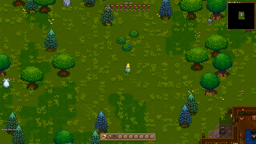  Forest Biome