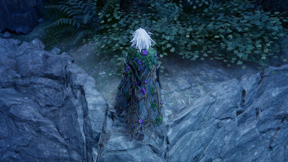 Shroud of the Forest