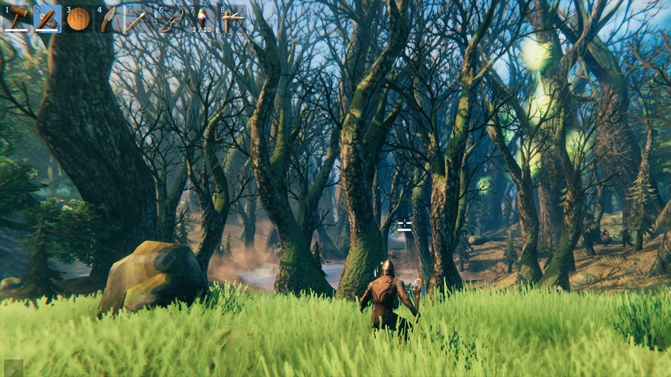  Finding Swamp Biome Through Forest