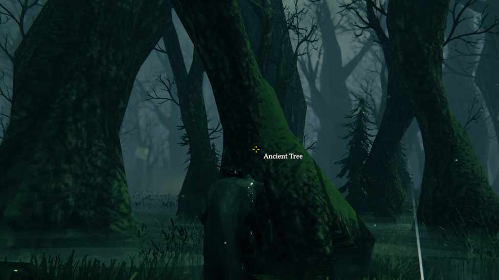  Ancient Tree In Swamps Biome