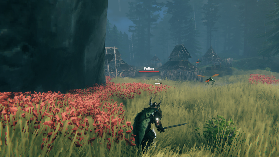  Entering Fuling Village