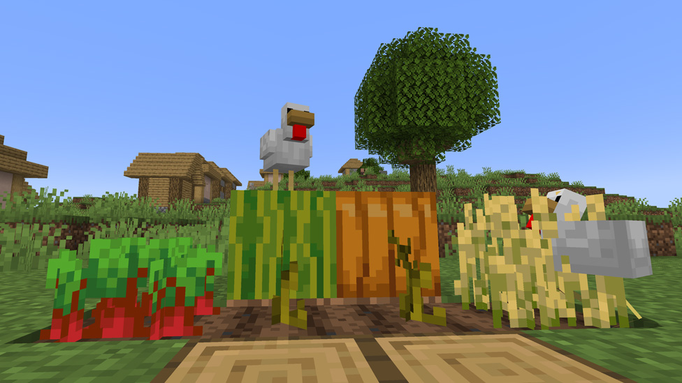 Crops with Edible Seeds