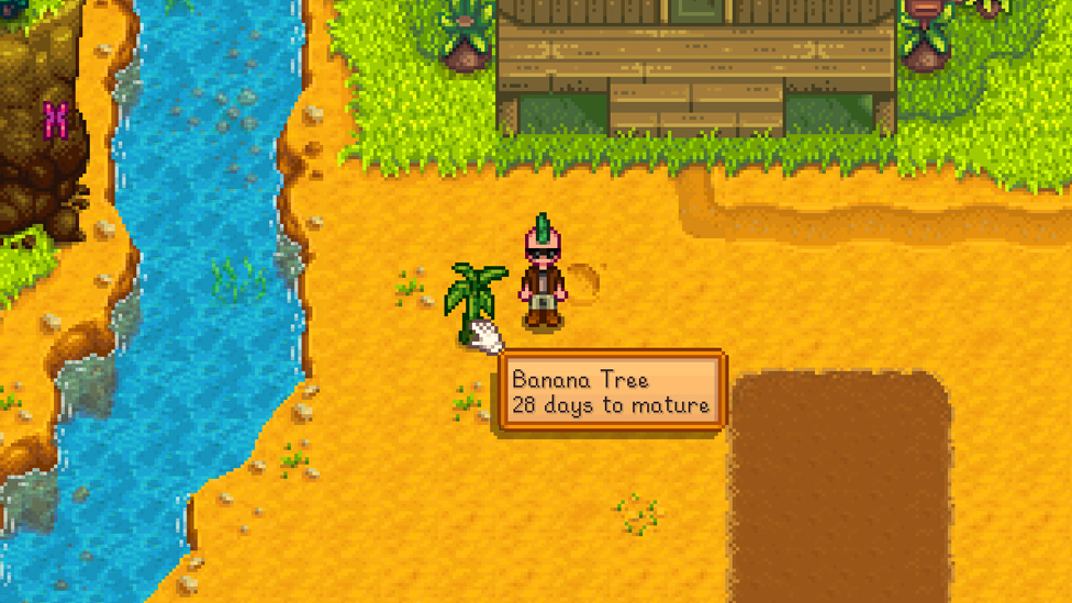  Growing Bananas On Ginger Island