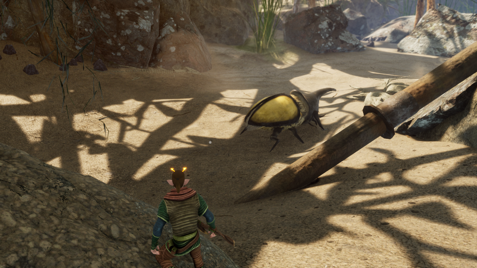  Finding Rhino Beetle