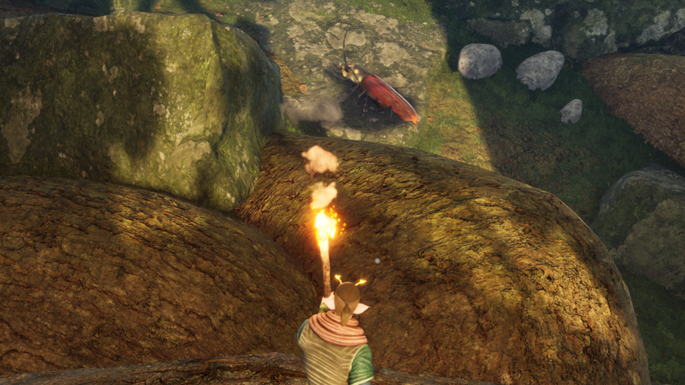  Hunting Sawyer Beetle For Chitin