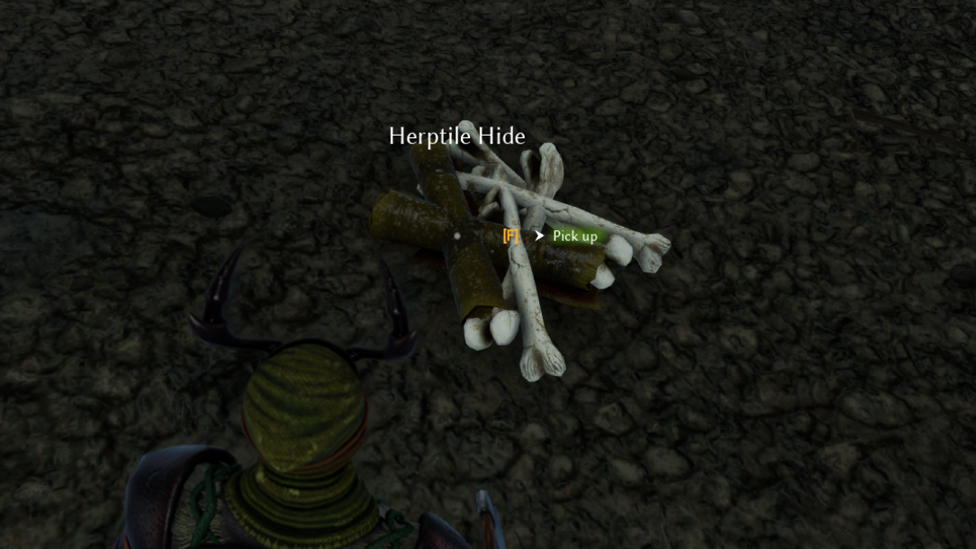  Herptile Leather Gathered From Geckos