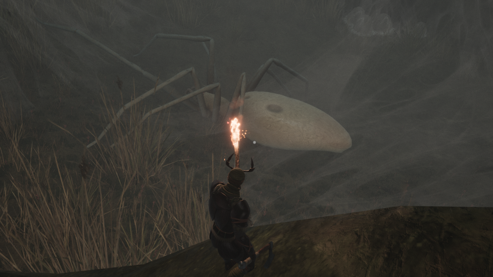  Before the Battle With Great Albino Spider