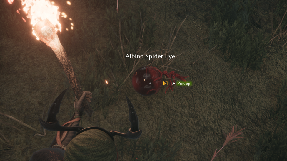  Albino Spider Eye Drop