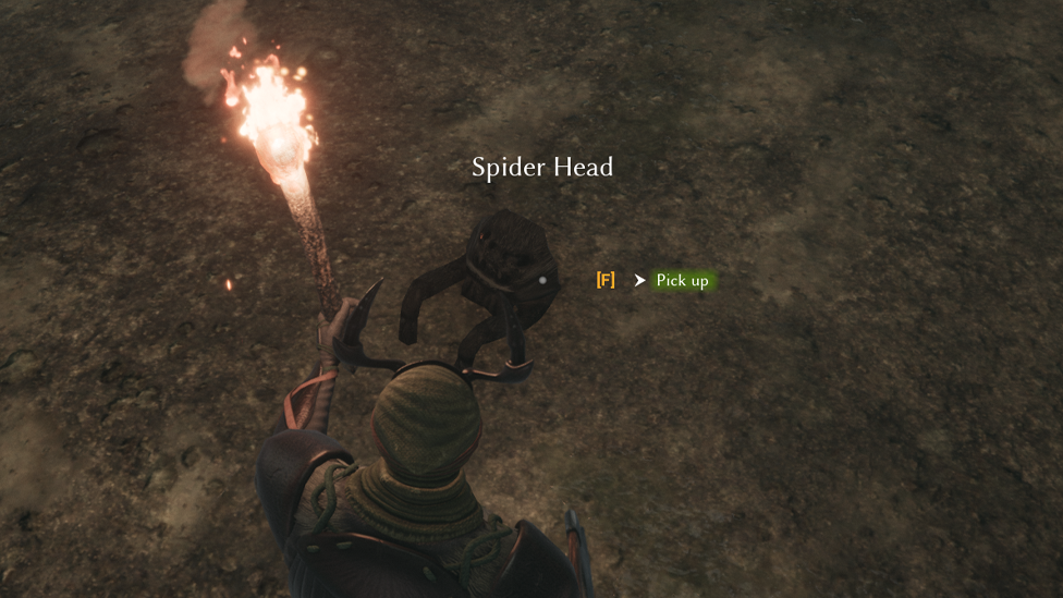  Collecting Spider's Head