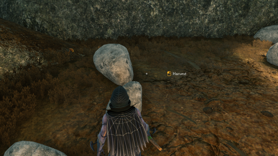  Gathering Rock Material