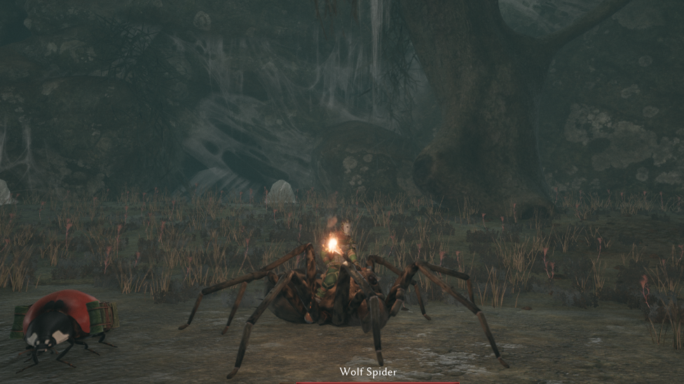  Mounting Wolf Spider