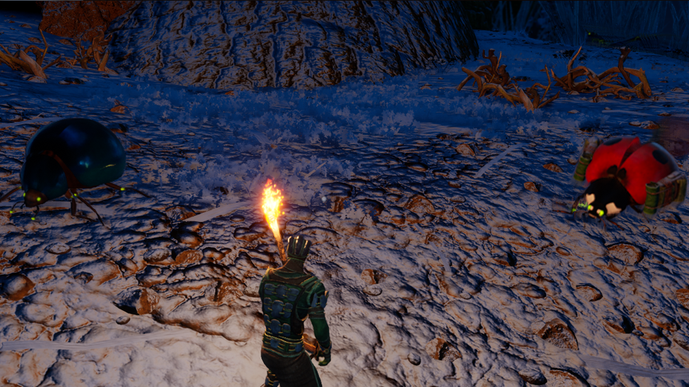  Nocturnal Ladybug and it's Counterpart