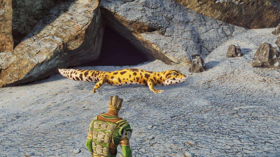  Meeting Gecko On the Beach