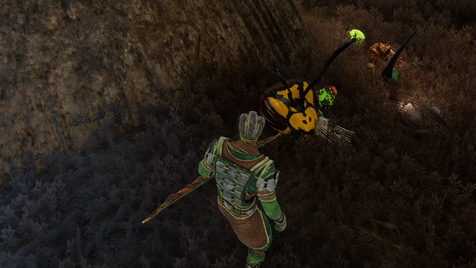  Collecting Wasp Queen's Head