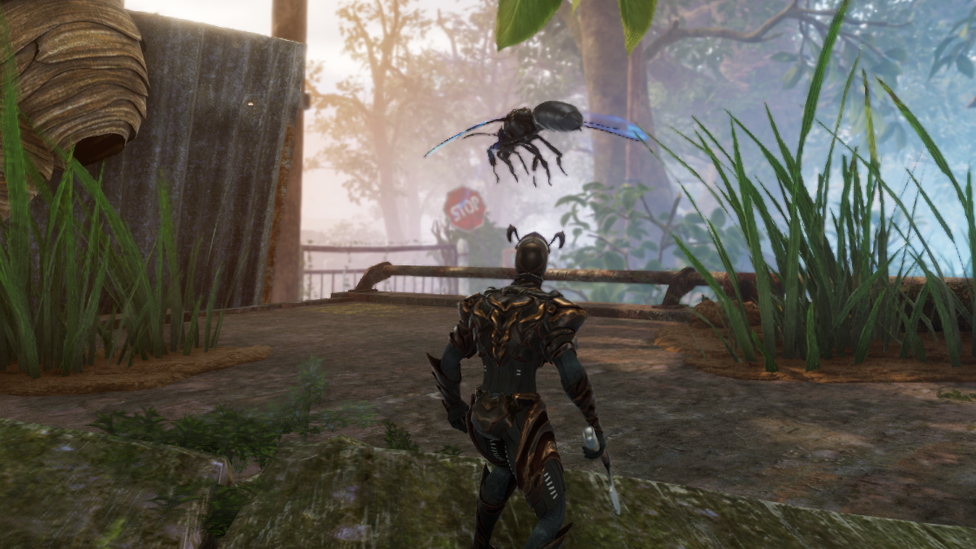  Finding Black Hornet On Top of the Dumpster