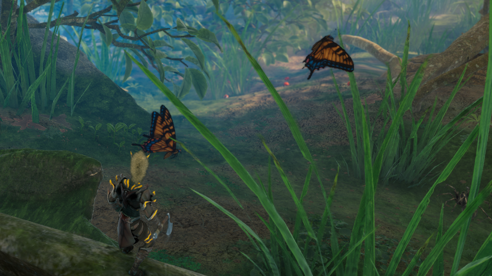  Butterflies in Oak Forest