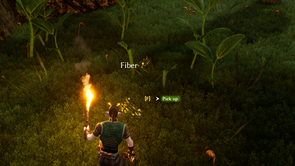  Harvesting Plants for Fiber