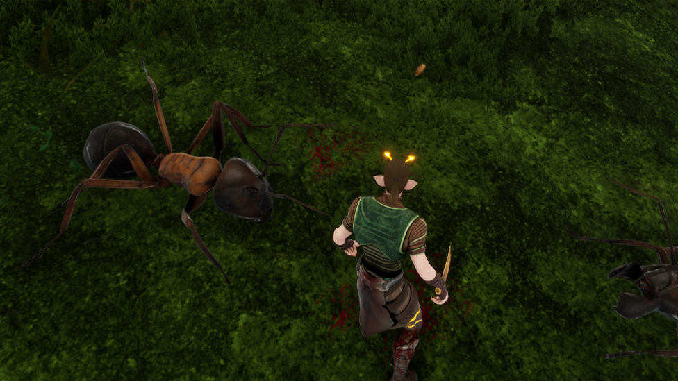  Be Aware of Bigger Carpenter Ant Warriors