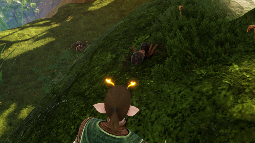  Carpenter Ant Worker