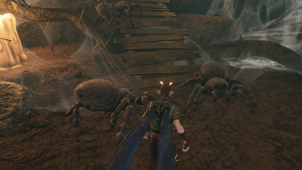  The Smalland Jumping Spider