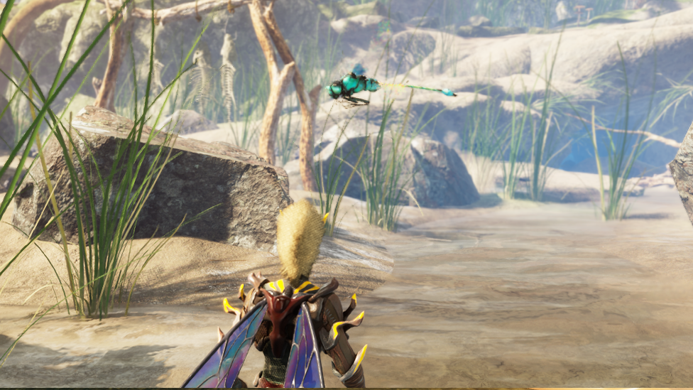  Meeting the Damselfly