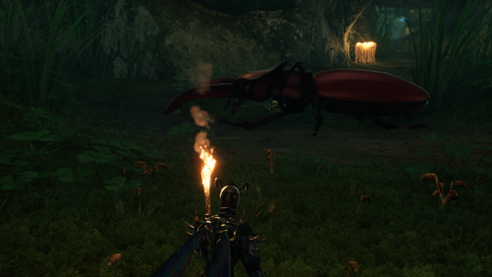  The King Stag Beetle