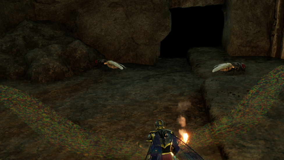  Watch Out For Swarming Grey Flies