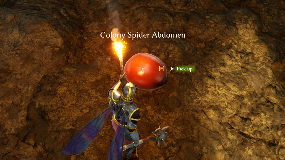  Colony Spider Abdomen