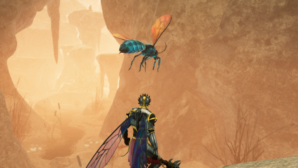  Encountering Hornets