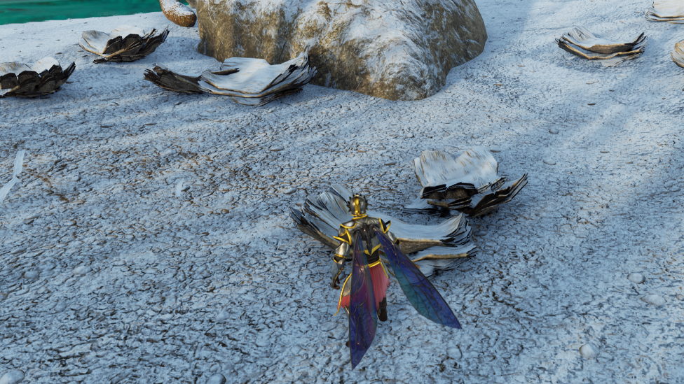  Bark Found On the Shores