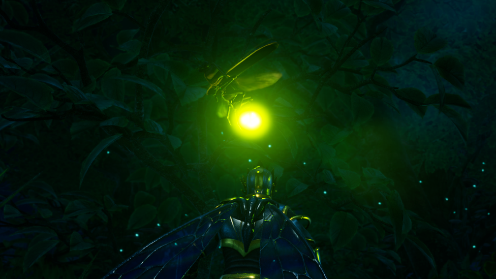  Encountering Firefly in Oak Forest
