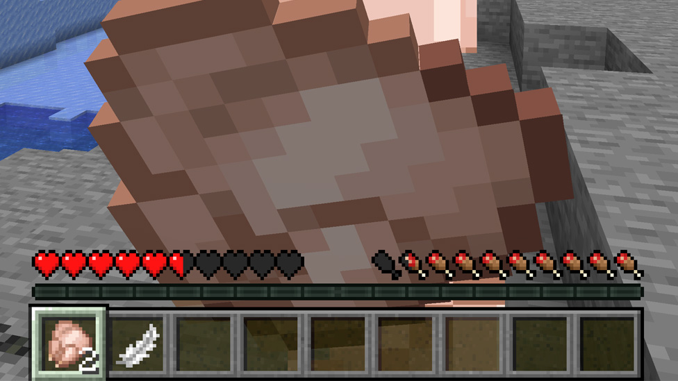 Healing by Eating Chicken