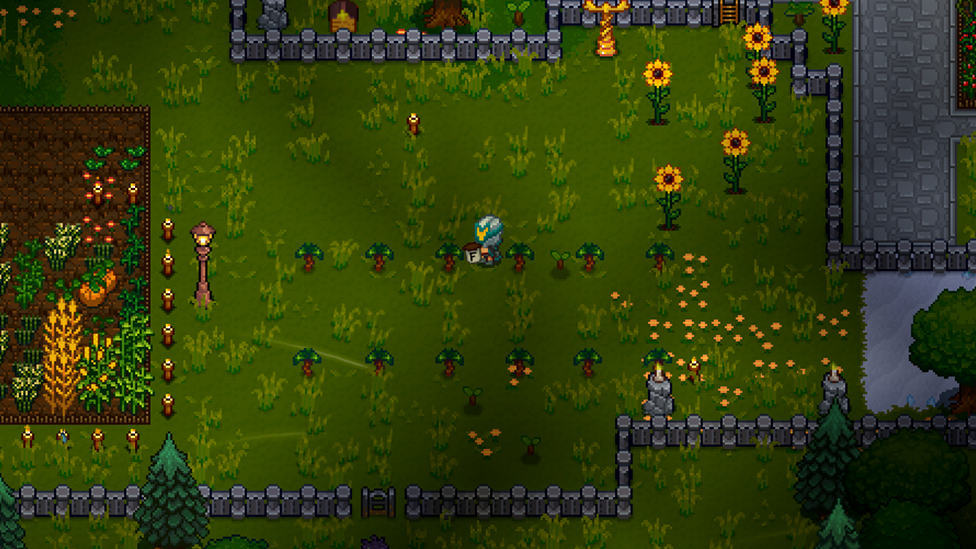   Sapling Placement Plan