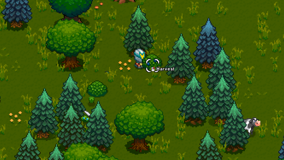  Harvesting Blueberry