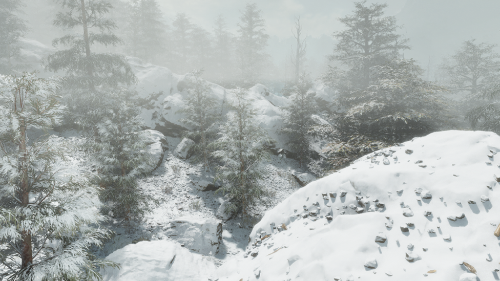  Central Snowy Region