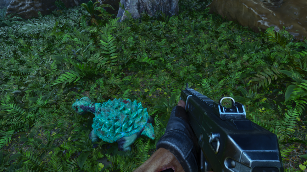  Make Sure to Protect Baby Dino