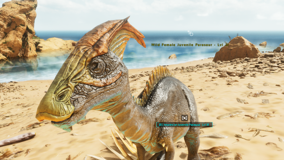  Imprinting the Baby Dino