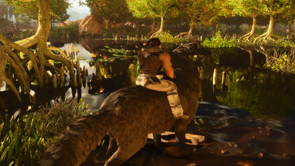  Using Direwolf to Travel Through Shallow Waters