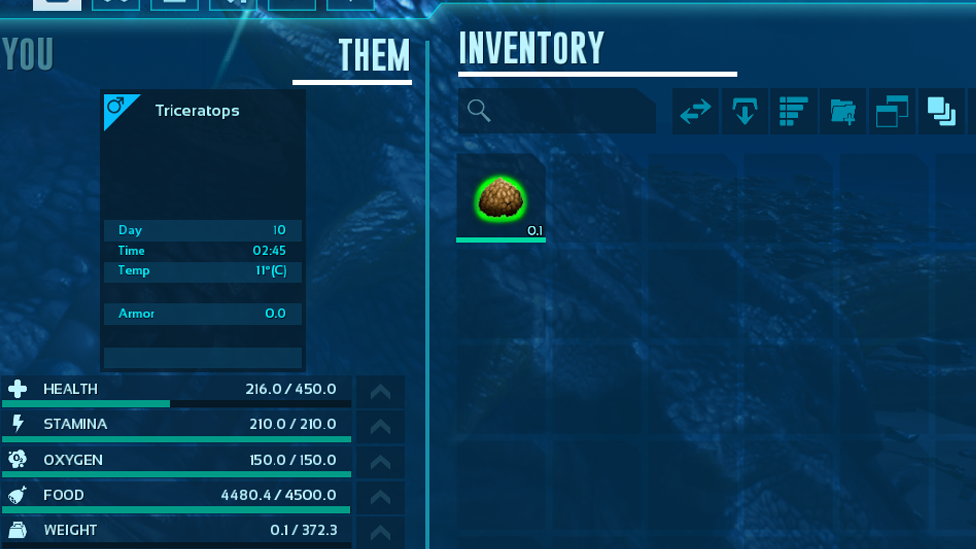  feeding triceratops With Kibble