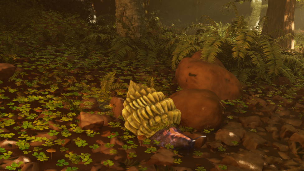  Achatina in Redwood Forest