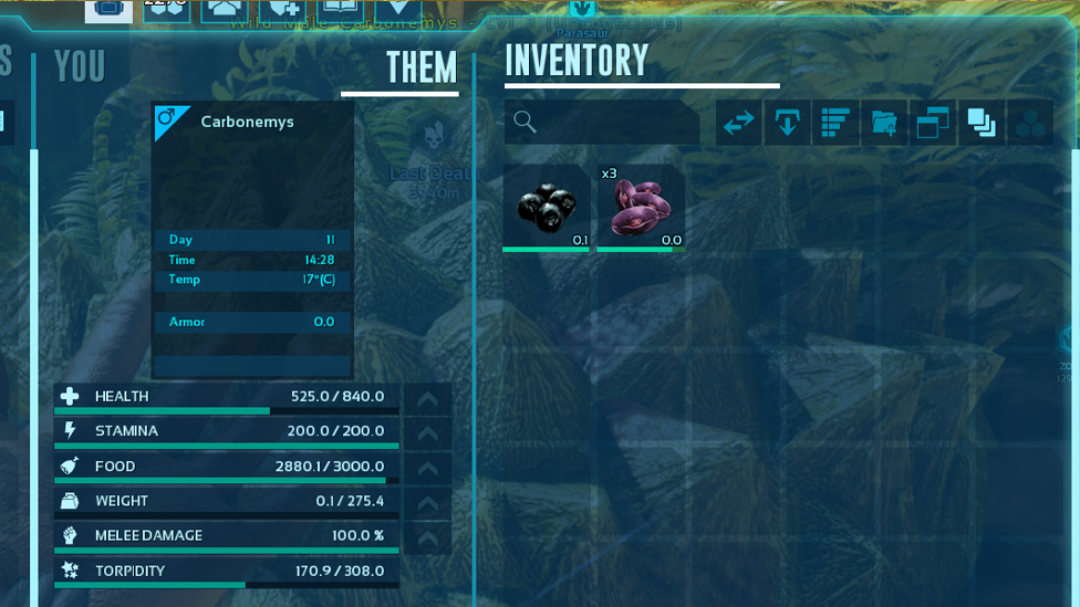  Taming Process With Feeding Carbonemys