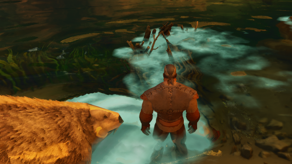  Always Revisit Beaver Dams